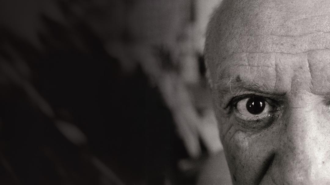 Background image for Picasso: The Beauty and the Beast