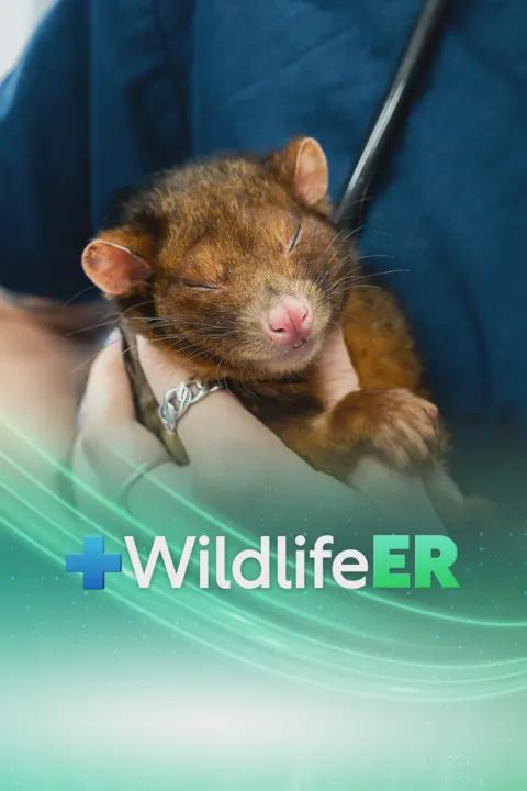 Series poster for Wildlife ER