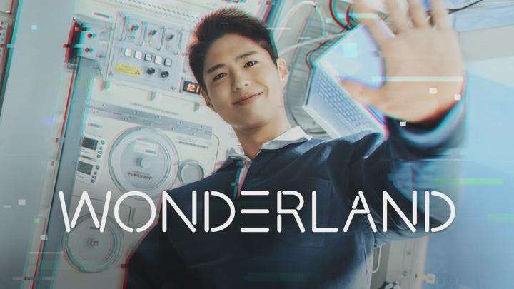 Poster of Wonderland
