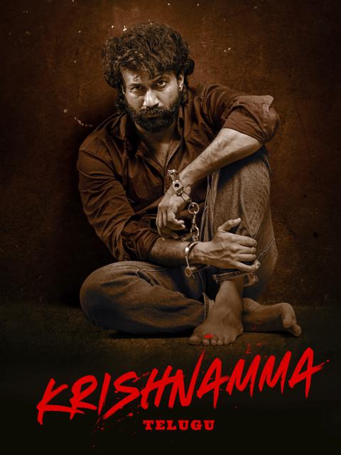 Movie poster for Krishnamma