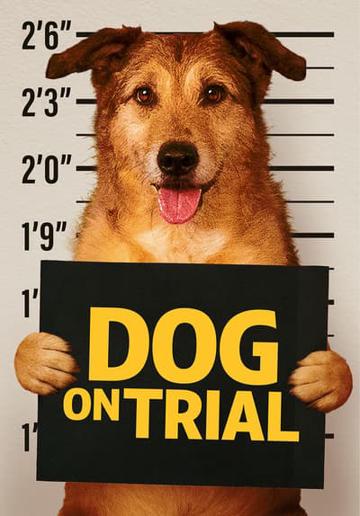 Dog on Trial