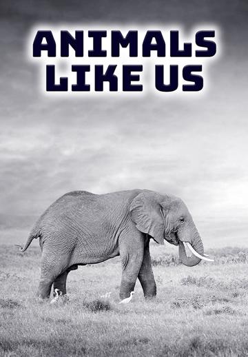 Animals Like Us