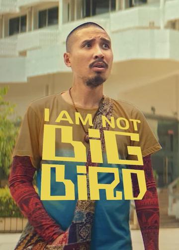 I Am Not Big Bird poszter