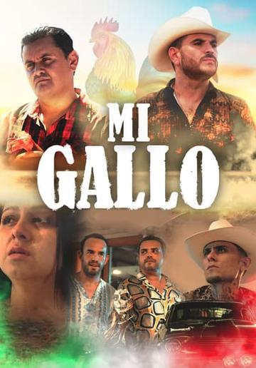 Mi Gallo