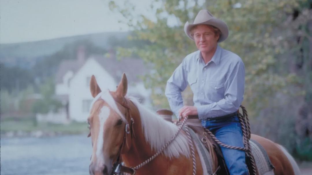 Background image for The Horse Whisperer