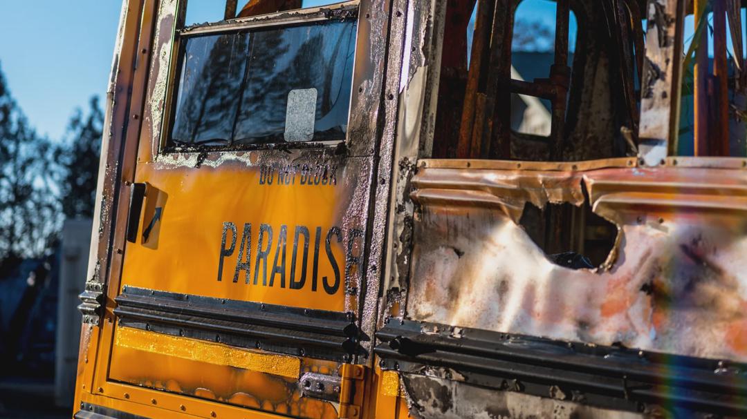 Background image for Fire in Paradise