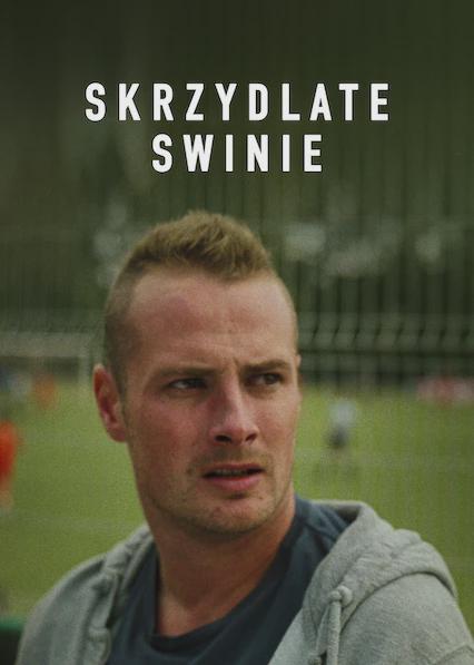 Poster för Flying Pigs