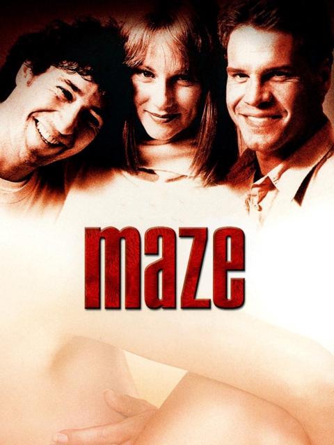 Movie poster for Maze