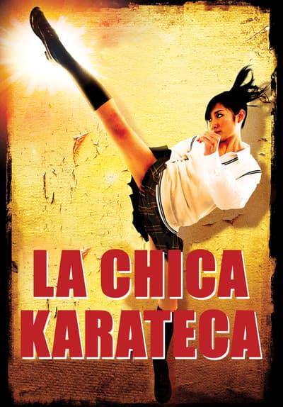 Movie poster for High Kick Girl!