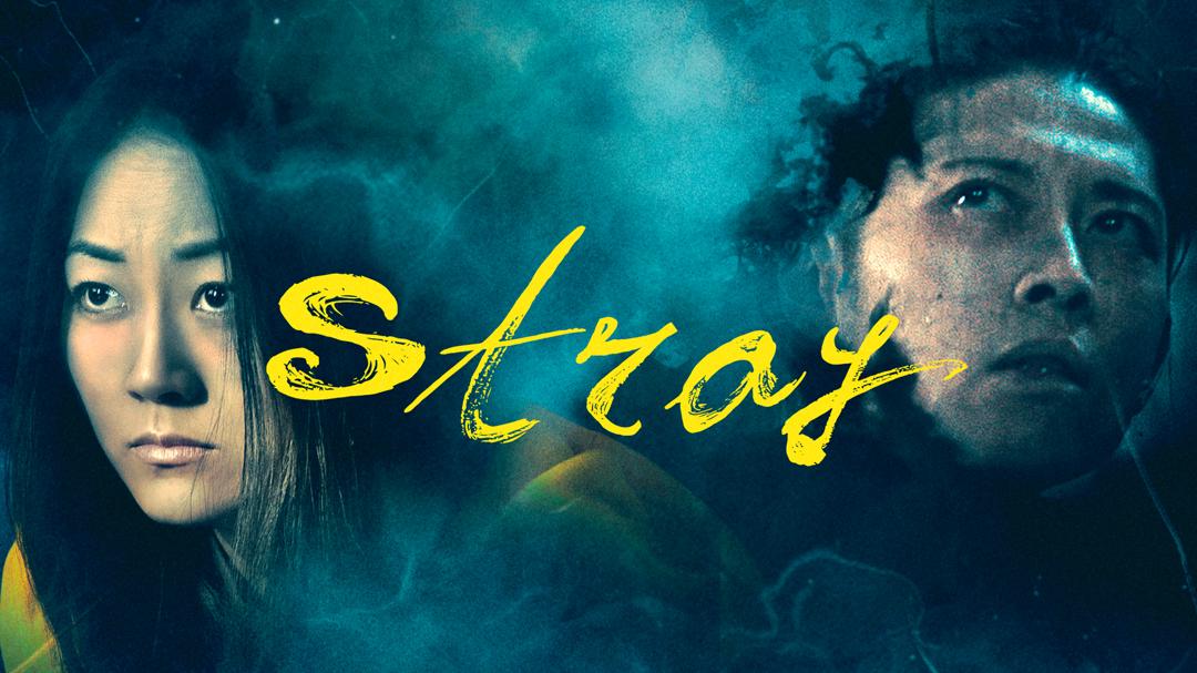 Stray