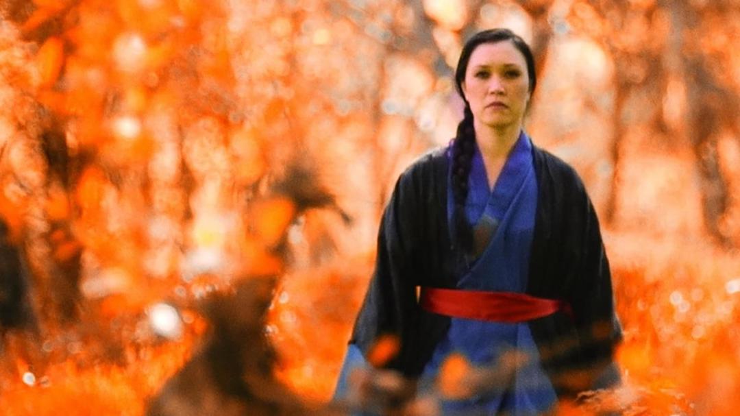 Background image for Immortal Fist: The Legend of Wing Chun