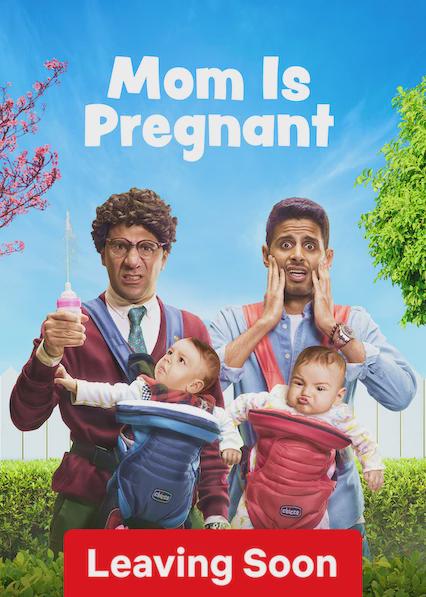 Poster för Mom Is Pregnant