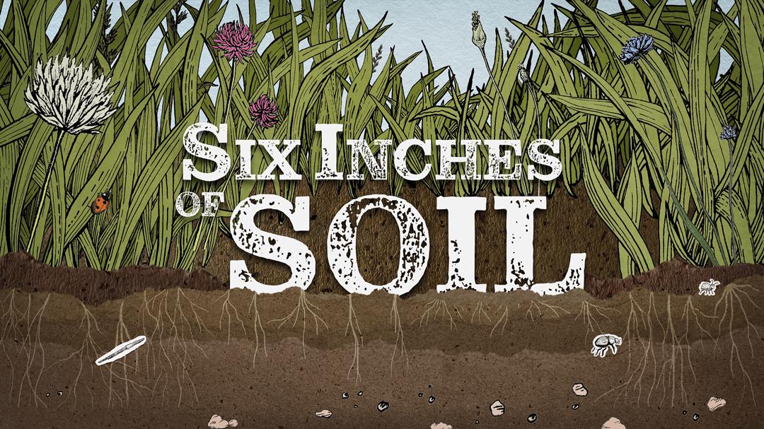 Six Inches of Soil