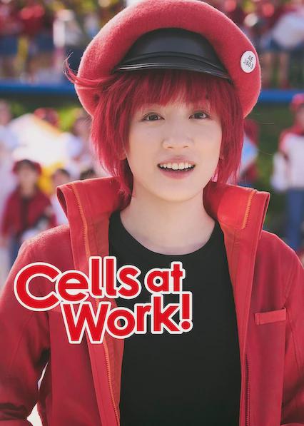 Poster för Cells at Work!