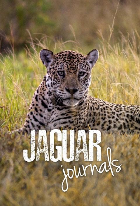 Poster för Jaguar Journals