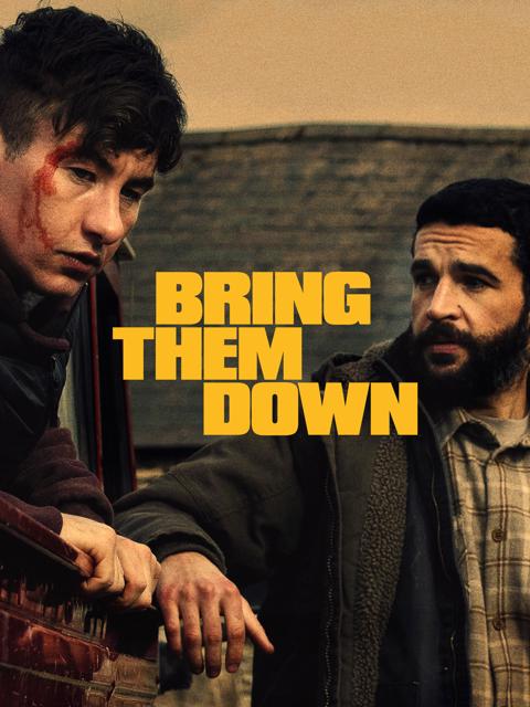 Movie poster for Bring Them Down