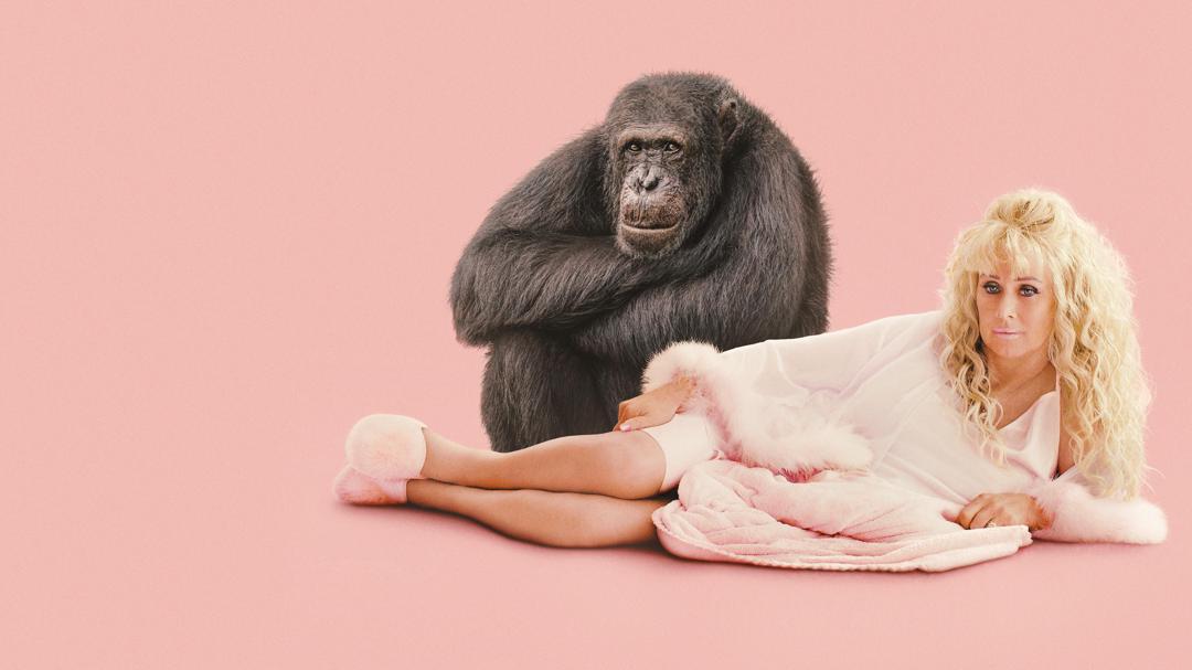 Background image for Chimp Crazy