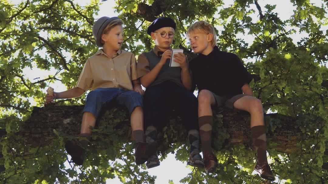Background image for Young Jönsson Gang at Summer Camp